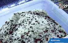 “ธัญพืช ลูกประคบ” สินค้าเพิ่มมูลค่า