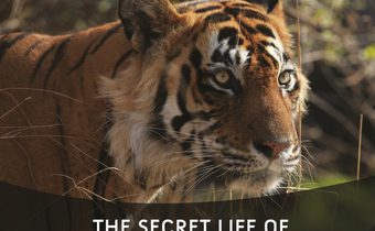 Secret Life of Predators โลกเร้นลับสัตว์นักล่า