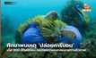 ศึกษาพบเหตุ ‘ปล่อยคาร์บอน’ เมื่อ 300 ล้านปีก่อน กระทบความหลากหลายทางชีวภาพ