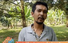 โจรแสบ ใช้โดรนบินดูลาดเลา ขโมยตัดลูกทุเรียน