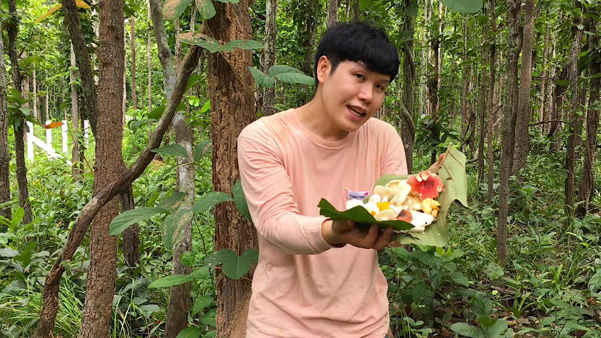 เข้าป่าหาเห็ด เดือนตุลาคม จ.พะเยา : Find wild mushrooms in October in Phayao, Thailand.