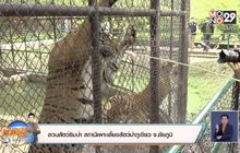 สวนสัตว์ริมป่า สถานีเพาะเลี้ยงสัตว์ป่าภูเขียว จ.ชัยภูมิ