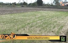ผลกระทบภัยแล้งในภาคอีสาน