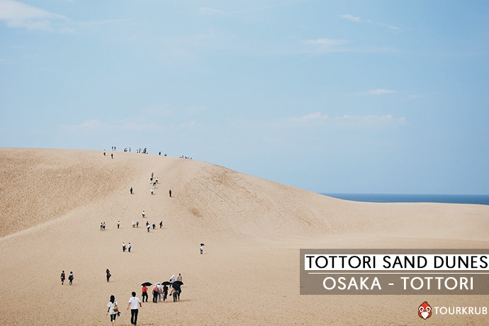 เนินทรายทตโตะริ - Tottori Sand Dunes