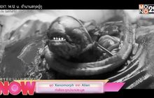 ชุด Xenomorph จาก Alien กำลังจะถูกนำมาประมูล