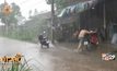 เตือนฝนตกหนัก 2-4 ก.ค.นี้