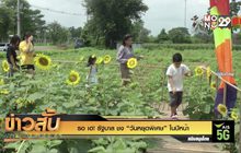 รอ เฮ! รัฐบาล ชง “วันหยุดพิเศษ” ในปีหน้า