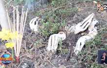 ชาวบ้านแห่ดู “เห็ดมือผี” กลิ่นคล้ายศพ จ.บุรีรัมย์