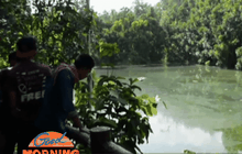 เตรียมปิดสระมรกตบางส่วน ค้นหานกแต้วแร้วท้องดำ