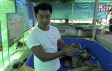 เลี้ยงปูนาส่งขายสร้างรายได้งาม