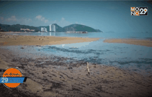 นับถอยหลังผลดีเอ็นโอคราบน้ำมันปริศนา