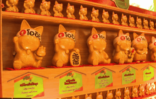 “โออิชิ กรีนที” เปิดตัวแคมเปญ “รหัสโออิชิ กองทัพแมวเนโกะทองคำ”