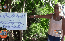 สุดทน !  สองผัวเมียพิการขาขาด เขียนป้ายประชดโจรขโมยตัดกล้วย