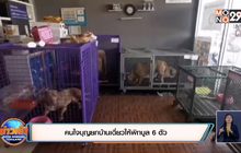 คนใจบุญยกบ้านเดี่ยวให้พิทบูล 6 ตัว