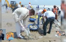 โครงการทำความสะอาดชาดหาดในอินเดีย