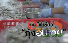 คุยครบกับพบเอก : ค้านไฟเขียว ‘กุ้งอินเดีย’