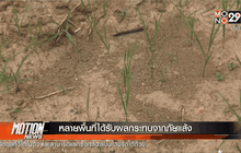 หลายพื้นที่ได้รับผลกระทบจากภัยแล้ง