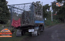 เตือนขบวนการขโมยควาย จ.บุรีรัมย์