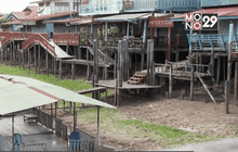 ออกแบบตลิ่งอิงระบบนิเวศ