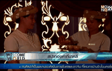 สปาทองคำที่บาหลี