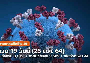 โควิด-19 วันนี้ ( 25 ต.ค.) – ติดป่วยเพิ่ม 8,675 / หาย-กลับบ้านเพิ่ม 9,589