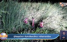 กู้ภัยลุยป่ากก ค้นหาเสียงปริศนา คล้ายทารกร้อง