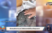 ร้องขนส่งเอกชนระวังส่งของหลังโยนพัสดุจนแตก