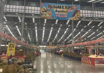 ตลาดสี่มุมเมือง รวมที่สุดของทุเรียนไทย งาน “ทุเรียน Expo 2025” ชวนสายทุเรียน ชิม-ช้อป-เที่ยว พบโปรฯ แรง หมอนทองราคาพิเศษ เริ่มต้นพูละ 5 บาท และลูกละ 99 บาท พร้อมแจกฟรีคูปองแทนเงินสดซื้อทุเรียนทุกวัน!