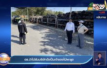 ตร.ป่าไม้ยันบริษัทดังเป็นเจ้าของไม้พะยูง