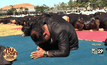 มท.แจ้งทุกจังหวัด จัดงาน “รวมพลังแห่งความภักดี”