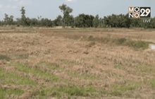 รวมสถานการณ์ภัยแล้ง