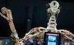 นิทรรศการแกะรอยหุ่นยนต์ 500 ปีในอังกฤษ