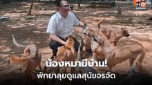 พัทยาลงพื้นที่ศูนย์พักพิงสุนัขจรจัด เตรียมสร้างแห่งใหม่ 30 ไร่
