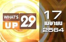 What’s up 29 17-04-64