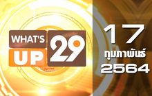 What’s up 29 17-02-64