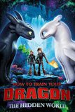 How to Train Your Dragon: The Hidden World อภินิหารไวกิ้งพิชิตมังกร 3