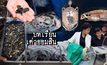 บทเรียนเต่าออมสิน