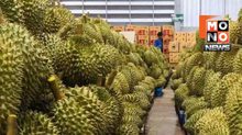 เปิดสถิติการค้าเกษตร 8 เดือน ไทยเกินดุล 7 แสนล้าน “ทุเรียน” ครองแชมป์ส่งออกจีน