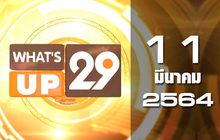 What’s Up 29 11-03-64