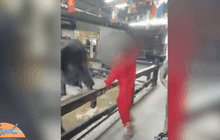 ฝรั่งโพสต์คลิป แฉพฤติกรรมควาญช้างไทย