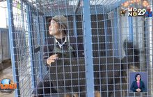 แฉสถานพักพิงซื้อสุนัข เพื่อรับบริจาค