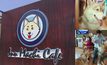 คาเฟ่ตอบโจทย์คนรักสัตว์