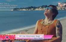 MV ล่าสุด Watermelon Sugar จากหนุ่มสุดฮอตขวัญใจสาวๆ Harry Styles