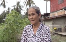 ชาวบ้านแห่เก็บ “ใบอังกาบหนู” เชื่อรักษามะเร็งได้