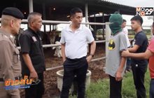 จับเยาวชนร่วมก่อเหตุฆ่าเจ้าของฟาร์มวัว จ.สุพรรณบุรี