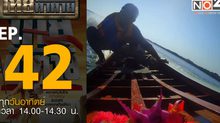 ไทยท้าทาย EP 42 : แข่งขันเรือหางยาว ณ.สนามอู่ต่อเรือบ้านเสม็ดงาม