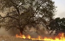 คาดแคลิฟอร์เนียตัดไฟกระทบผู้คนกว่า 2 ล้านคน