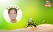 โฆษกรัฐบาลเตือน ระวังไข้เลือดออกหน้าฝน หากพบอาการเข้าข่ายต้องรีบพบแพทย์