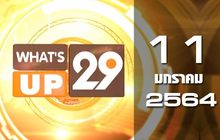 What’s Up 29 11-01-64