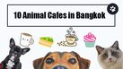 10 Animal Cafes in Bangkok